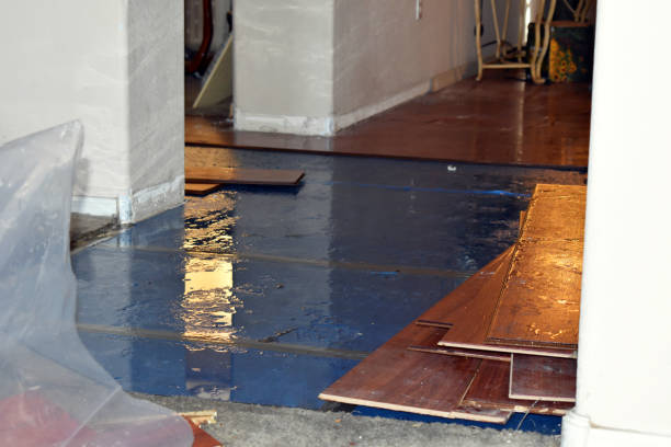 Professional Burst Pipe Cleanup technician working in Manton, MI